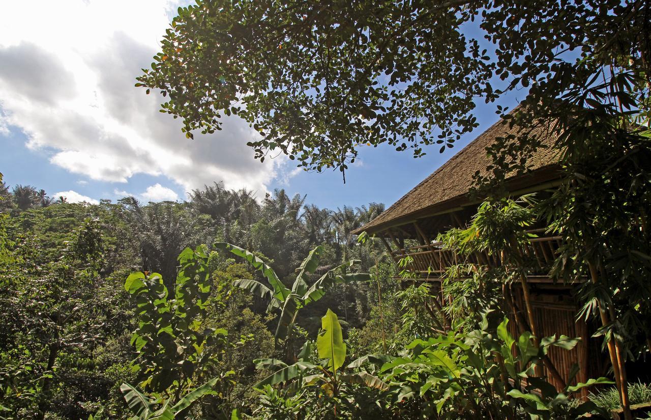 Alassari Plantation Selemadeg  Exterior photo